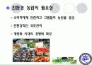 친환경농업 11페이지
