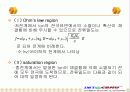 절연물의 특성 8페이지