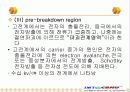 절연물의 특성 10페이지