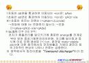 절연물의 특성 14페이지