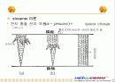 절연물의 특성 24페이지