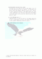 신상품마케팅프로젝트-간편 아침식사 대용식 35페이지