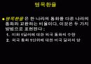 개방경제의 거시경제학 14페이지