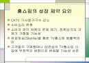 TV 홈쇼핑 조사 11페이지