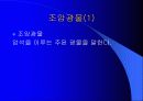 광물의 대하여 11페이지