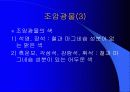 광물의 대하여 13페이지