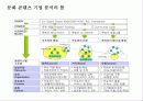 한국의 문화 콘텐츠 비즈니스 & 성공 전략 18페이지