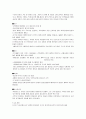 바로크시대의 도시계획(절대주의) 4페이지
