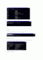 리눅스 명령어와 웹서버 구축 10페이지