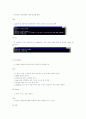 리눅스 명령어와 웹서버 구축 11페이지