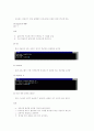리눅스 명령어와 웹서버 구축 12페이지