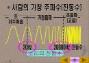환경소음의 종합적 이해-분석과 대책 그리고 사례에 관한 연구 11페이지