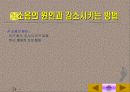 환경소음의 종합적 이해-분석과 대책 그리고 사례에 관한 연구 24페이지
