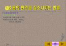 환경소음의 종합적 이해-분석과 대책 그리고 사례에 관한 연구 26페이지