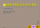 환경소음의 종합적 이해-분석과 대책 그리고 사례에 관한 연구 27페이지