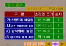 환경소음의 종합적 이해-분석과 대책 그리고 사례에 관한 연구 38페이지