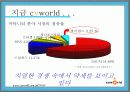 싸이월드의 관계마케팅과 전략 제안 8페이지