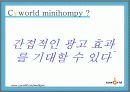 싸이월드의 관계마케팅과 전략 제안 13페이지