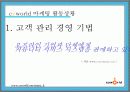 싸이월드의 관계마케팅과 전략 제안 14페이지