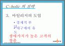 싸이월드의 관계마케팅과 전략 제안 26페이지