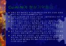 형상기억합금 10페이지
