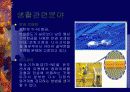 형상기억합금 17페이지