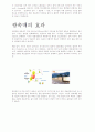광촉매재료 3페이지