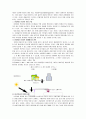 [자연과학] 미생물의 산업적 이용 [분석/조사]  6페이지