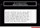 애완견-요크샤테리어에 대한 이해와 분석 3페이지