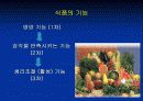 식품화학 17페이지