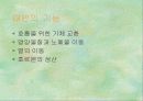 출산 6페이지