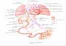 출산 10페이지