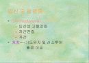 출산 11페이지