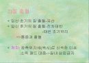 출산 12페이지