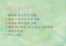 출산 14페이지