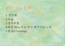 출산 15페이지