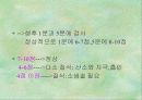 출산 25페이지