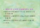 출산 27페이지