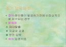 출산 34페이지