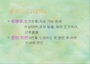 출산 39페이지