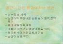 출산 41페이지