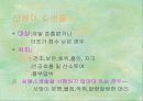 출산 43페이지
