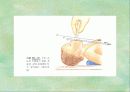 출산 44페이지