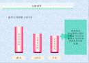 신제품 출시를 위한 소비자 및 시장 분석, 마케팅, 광고 기획 및 매체 전략 분석-사례 5페이지