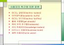 인터넷광고의 이해 14페이지