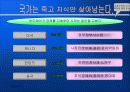 지식혁명보고서 14페이지