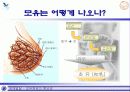 모유수유에 대한 올바른 이해와 접근, 장점 및 방법 5페이지