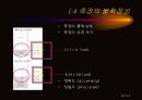 화학의 기초 6페이지
