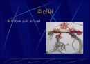 중앙아시아 모직물 18페이지