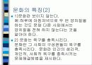 문화의  본질 3페이지